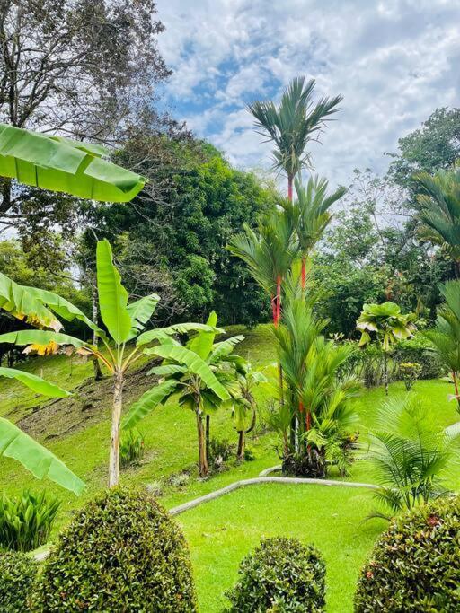 Suenos De Amor! Hermoso Y Acogedor Lugar Quepos Zewnętrze zdjęcie