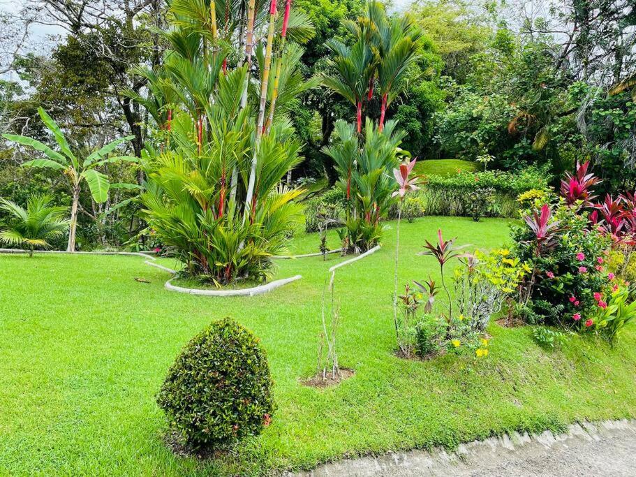 Suenos De Amor! Hermoso Y Acogedor Lugar Quepos Zewnętrze zdjęcie